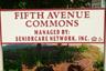 Fifth Avenue Commons